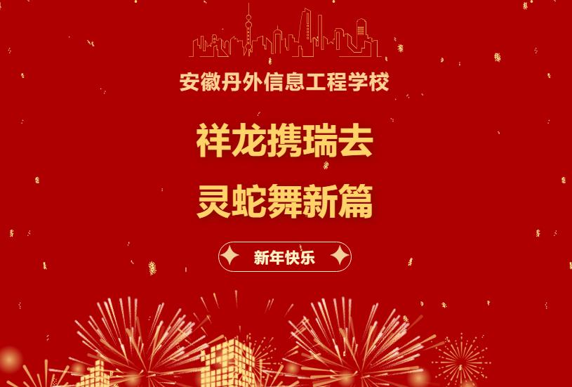 这一年，在丹外信工 | 解锁2024年度记忆